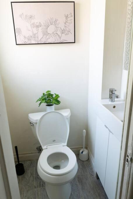 Spacious 2-bedroom Unit In Hollywood Appartement *